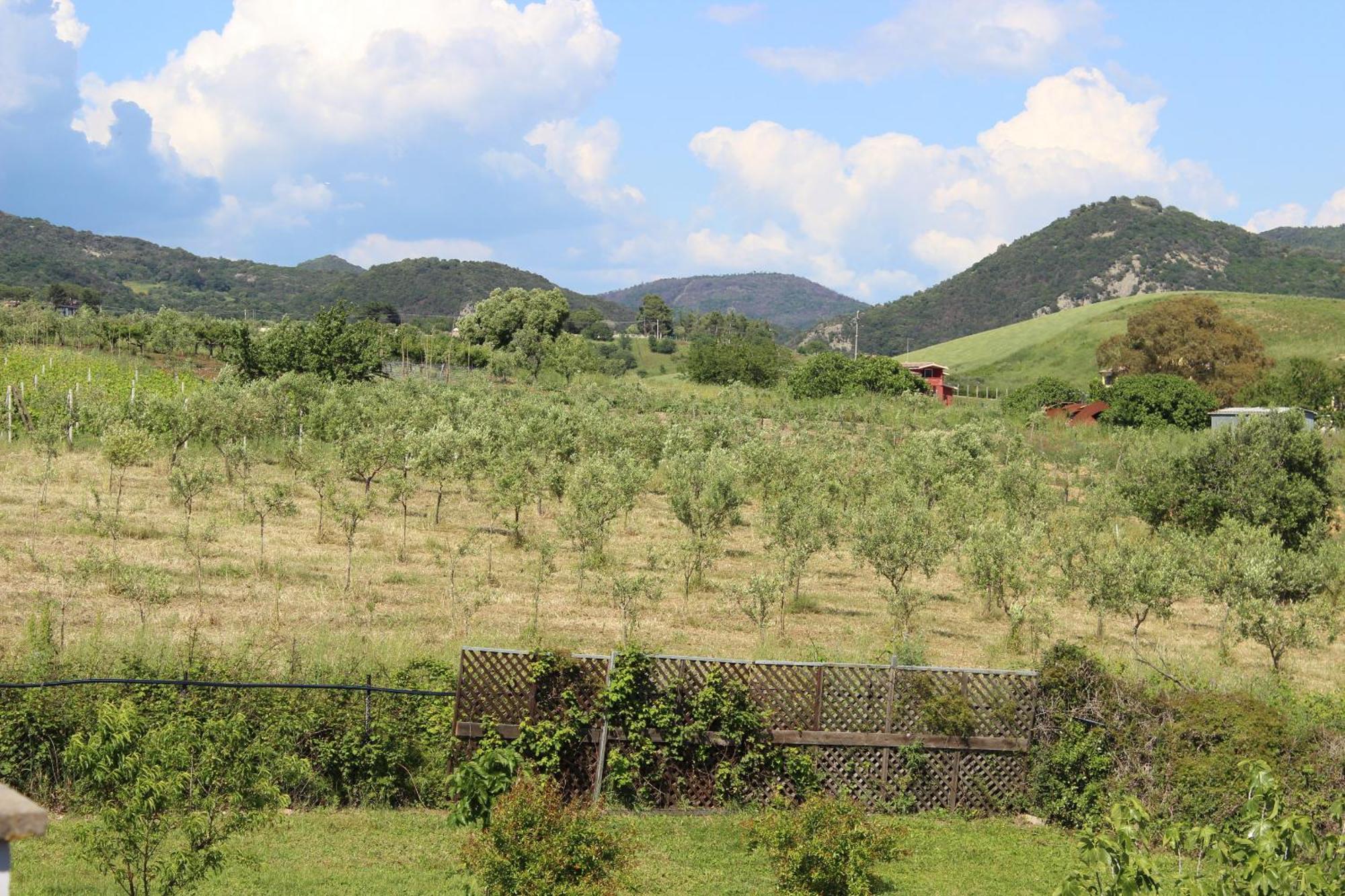 Guest House Villa Di Judighes Cerveteri Rum bild