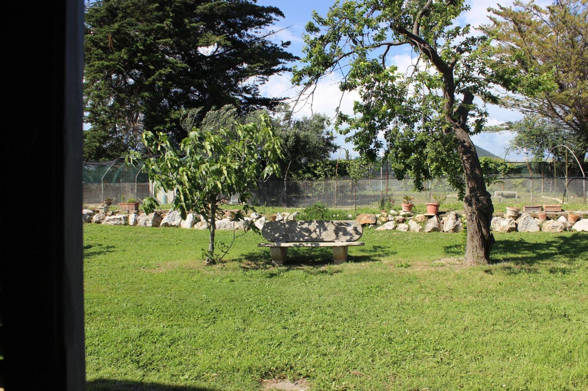 Guest House Villa Di Judighes Cerveteri Rum bild