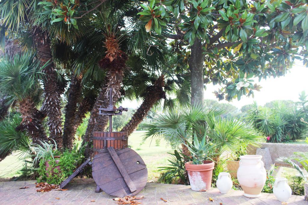 Guest House Villa Di Judighes Cerveteri Exteriör bild