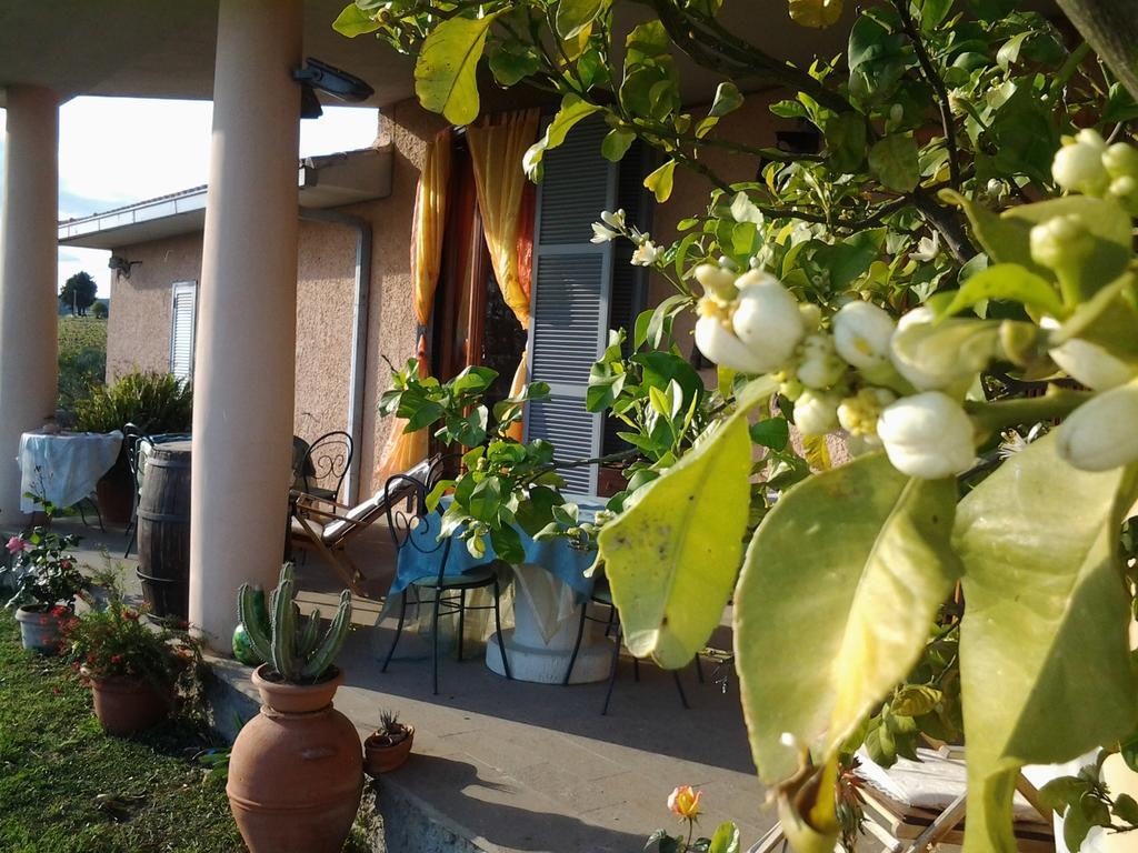 Guest House Villa Di Judighes Cerveteri Exteriör bild