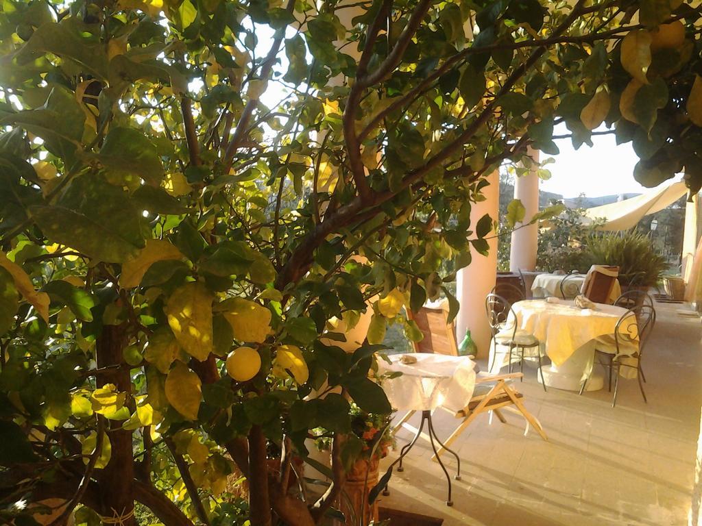 Guest House Villa Di Judighes Cerveteri Exteriör bild
