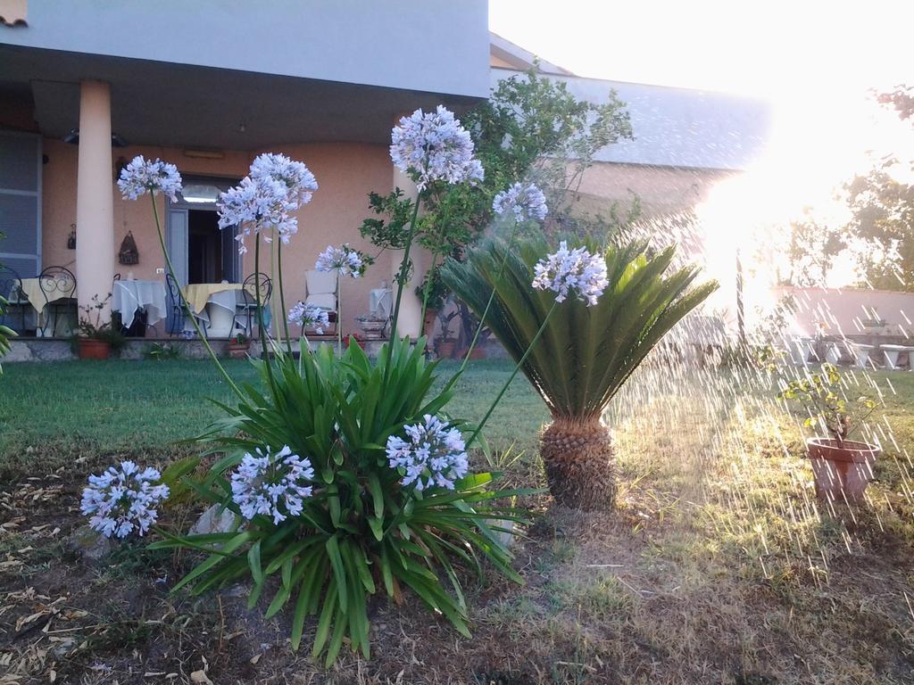 Guest House Villa Di Judighes Cerveteri Exteriör bild