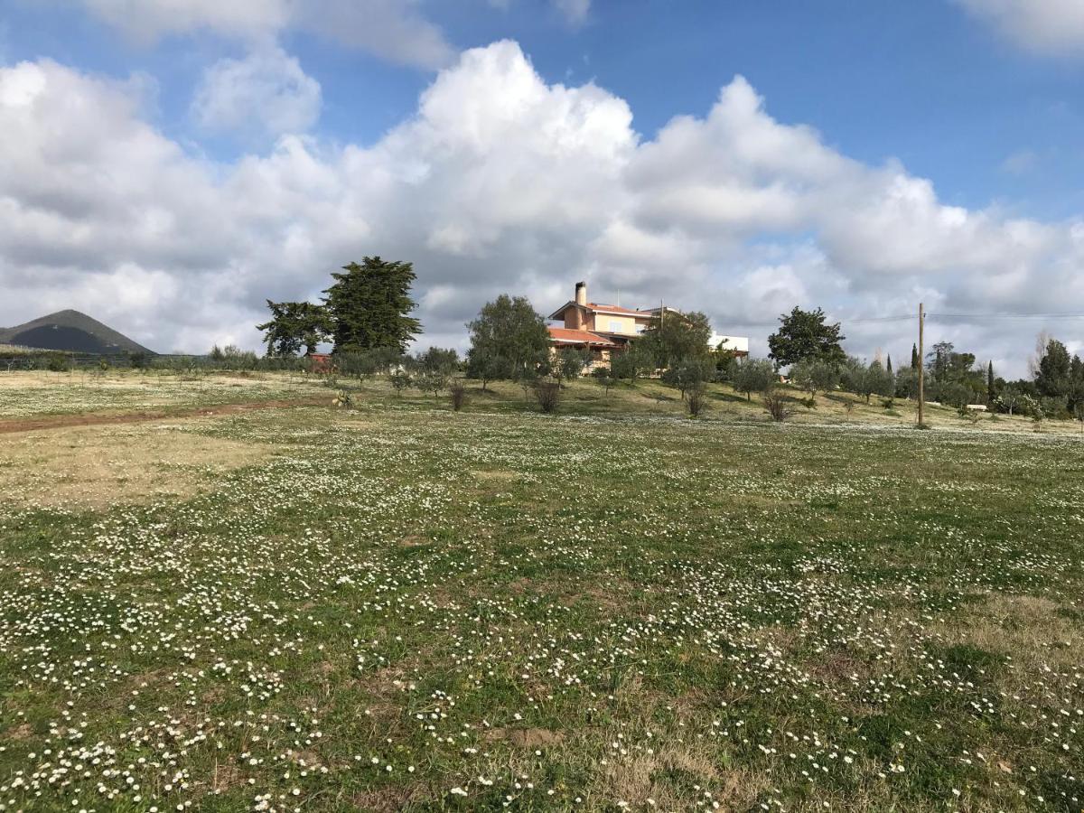 Guest House Villa Di Judighes Cerveteri Exteriör bild
